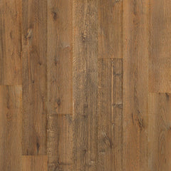 Mohawk Ellenwood Nature Walk Oak Swatch