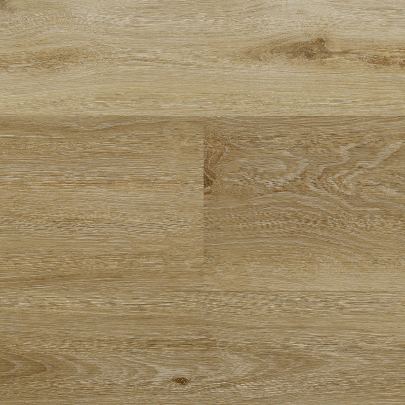Casabella FirmFit Pro Easton
