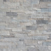 Ledgestone Collection Fond du Lac Ledgestone Swatch