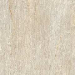 Paramount Tile Fossil Crema Matte 12" x 24" Swatch