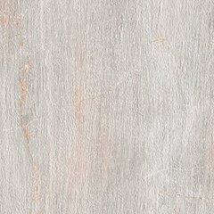 Paramount Tile Fossil Perla Matte 12" x 24" Swatch