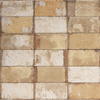 Paramount Tile Havana Tropicana 8"x 16" Swatch