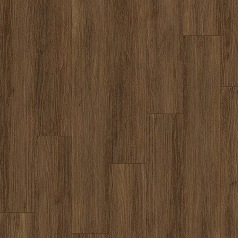 Casabella FirmFit Stateside InTown Cappuccino