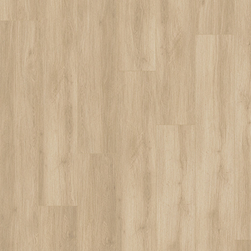 Casabella FirmFit Stateside InTown Parkview