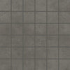 Iron Grey / 24