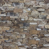 Ledgestone Collection Juneau Ledge Swatch