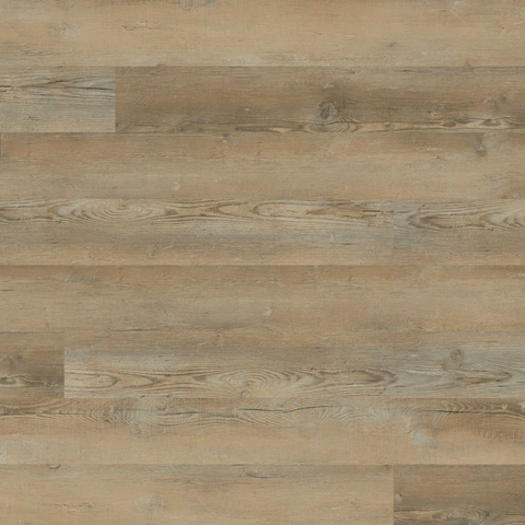MSI Everlife Katavia Lime Washed Oak Swatch