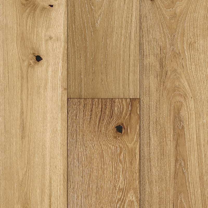 LifeCore Bliss New Dawn