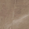 Tile Collection Luxury 12x12 Tile Amani Bronze Rectified Polished Swatch