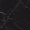 Tile Collection Luxury 12x12 Tile Nero Marquina Rectified Swatch