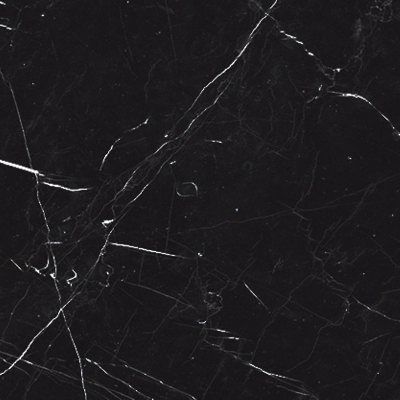 Tile Collection Luxury 12x12 Tile Nero Marquina Rectified