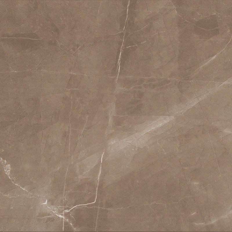 Tile Collection Luxury 24x48 Tile Amani Bronze Polished Rectified