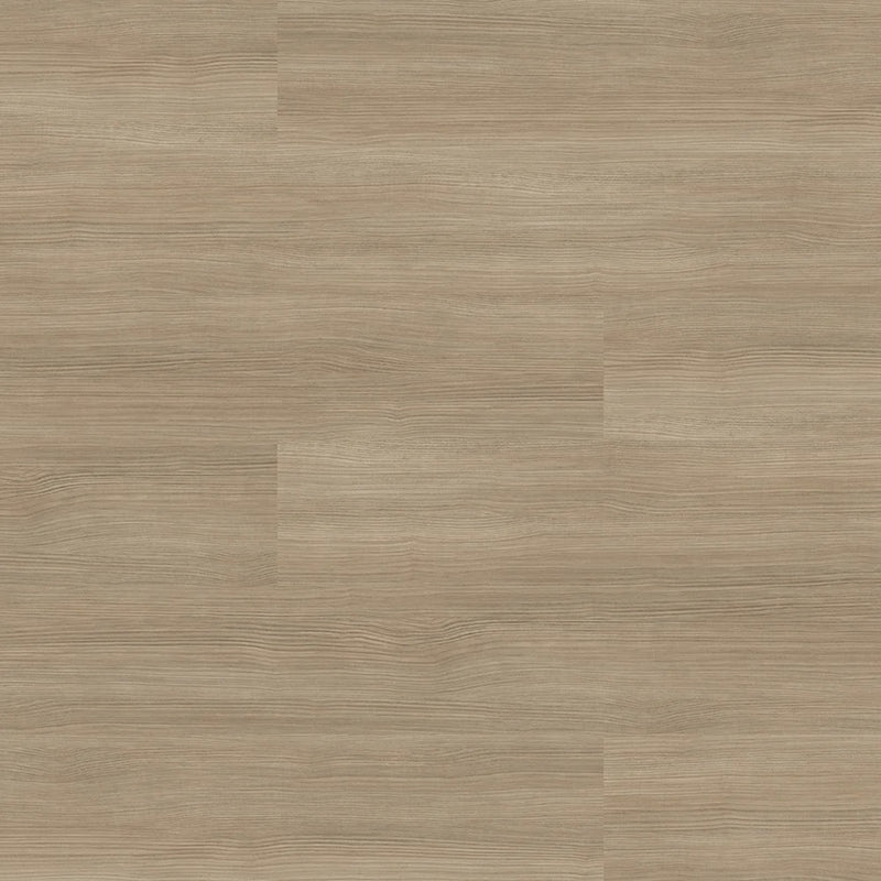 Metroflor Provident Public Maywood