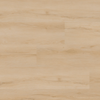 MSI Nove Reserve Fallonton Swatch