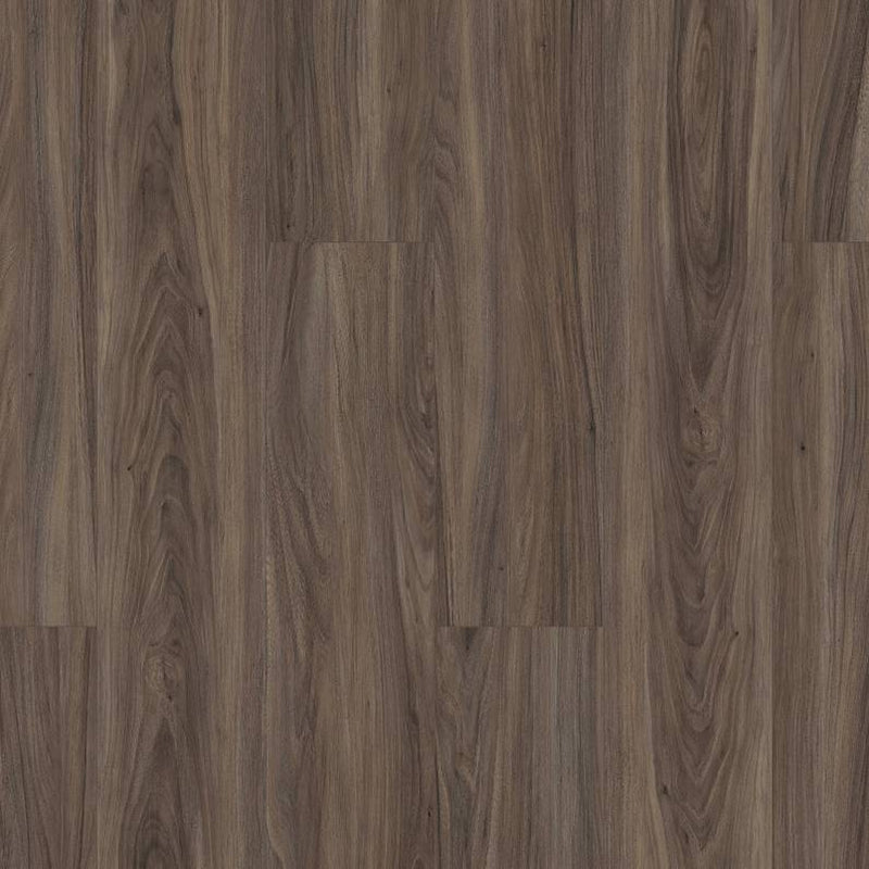 Shaw Paladin Plus Cinnamon Walnut