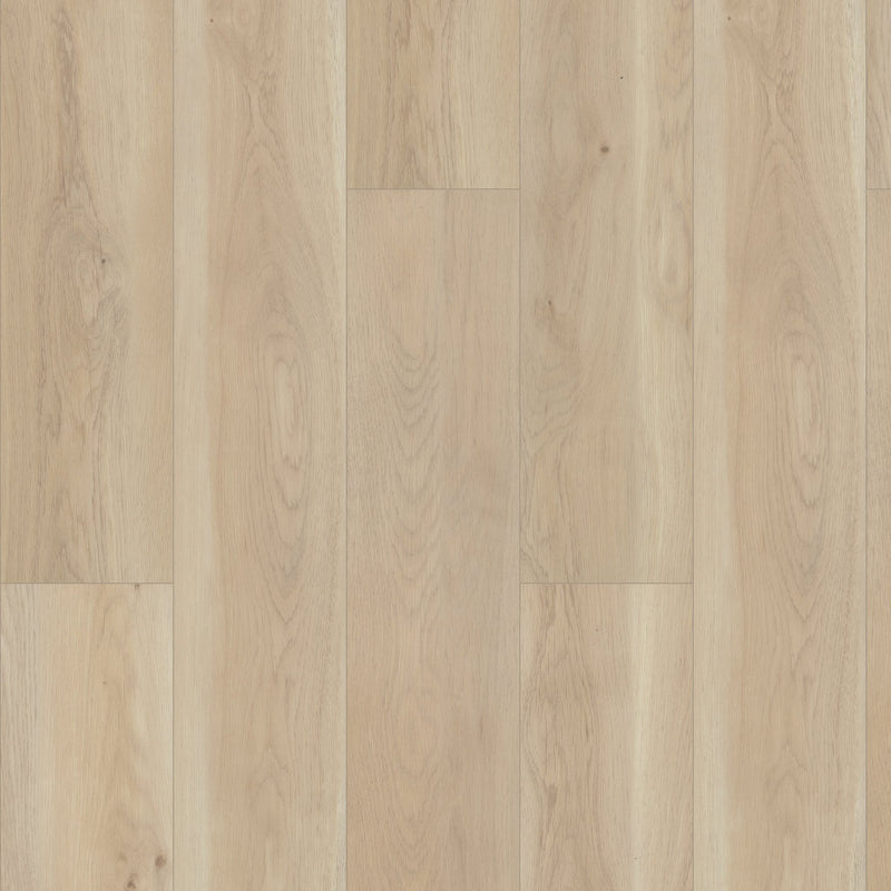 Shaw Paragon HD Plus Cambridge Sample