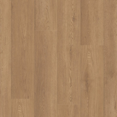 Shaw Paragon HD Plus Davenport Swatch