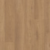 Shaw Paragon HD Plus Davenport Swatch