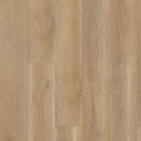 Shaw Paragon HD Plus Edgemont Swatch