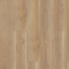 Shaw Paragon HD Plus Edgemont Swatch