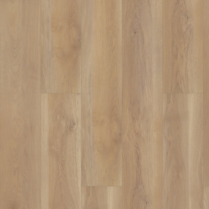 Shaw Paragon HD Plus Edgemont Sample