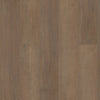 Shaw Paragon HD Plus Gable Swatch