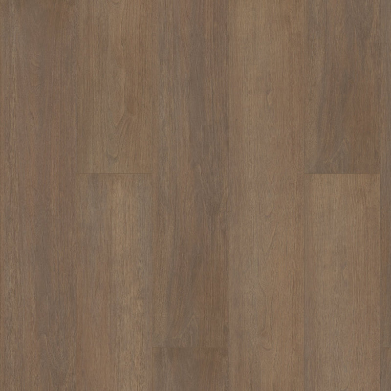 Shaw Paragon HD Plus Gable Sample