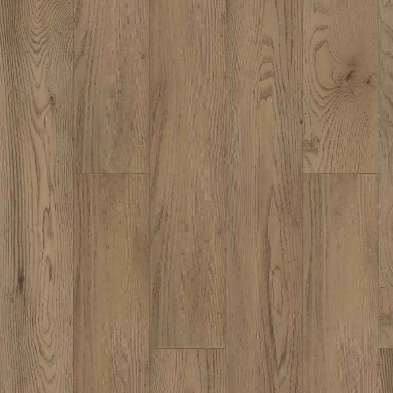 Shaw Paragon HD Plus Magnolia Sample