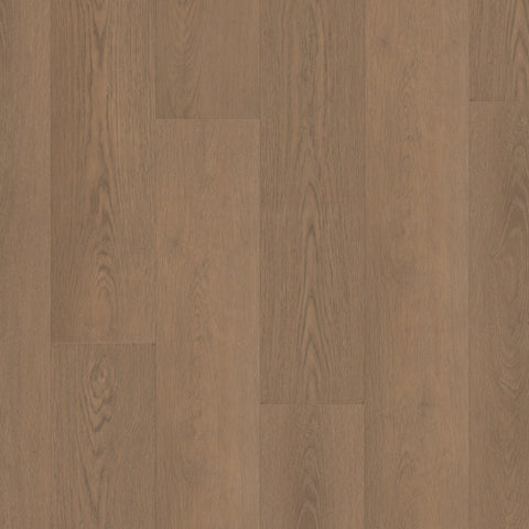 Shaw Paragon HD Plus Rutledge Swatch