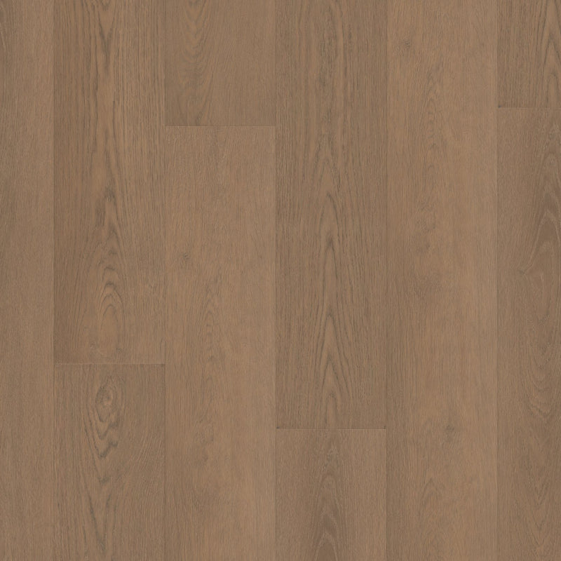 Shaw Paragon HD Plus Rutledge Sample