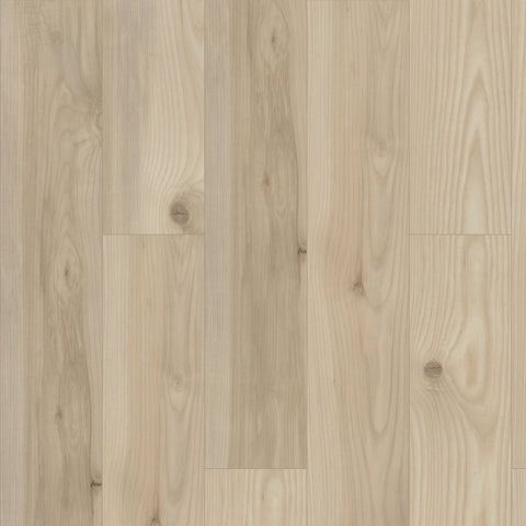 Shaw Paragon HD Plus Savona Swatch