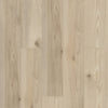 Shaw Paragon HD Plus Savona Swatch