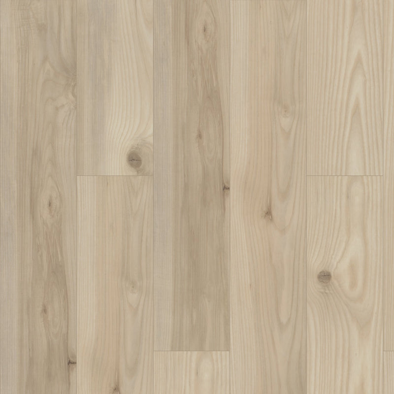 Shaw Paragon HD Plus Savona Sample