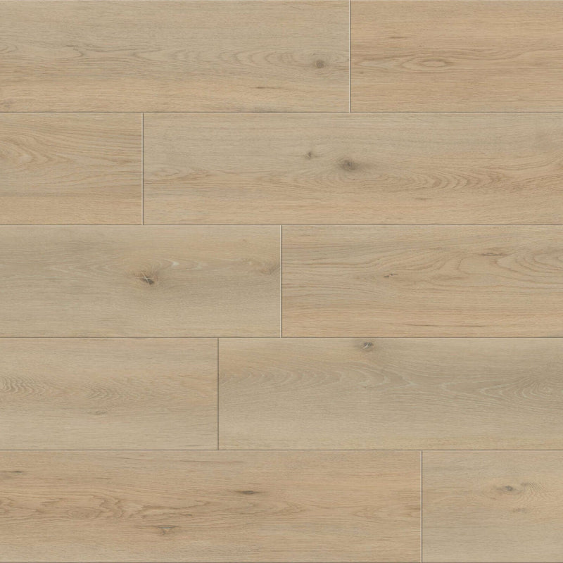 Responsive Prestige Hampton