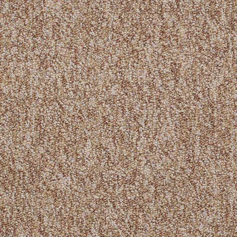 Shaw Carpet Tile Sound Advice Tile Encourage