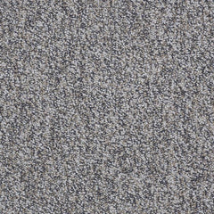 Shaw Carpet Tile Sound Advice Tile Get Along Swatch