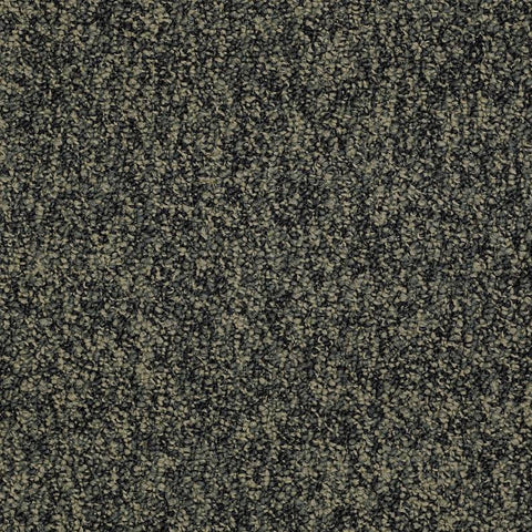 Shaw Carpet Tile Sound Advice Tile Hold The Line Swatch