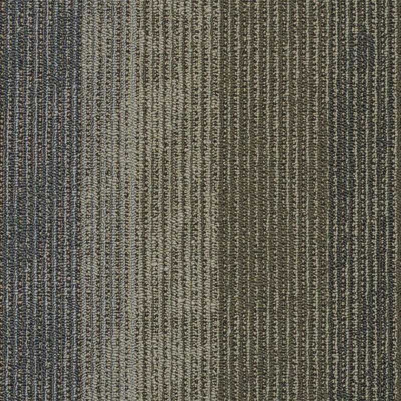 Shaw Carpet Tile Static Circuit