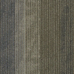 Shaw Carpet Tile Static Circuit Swatch