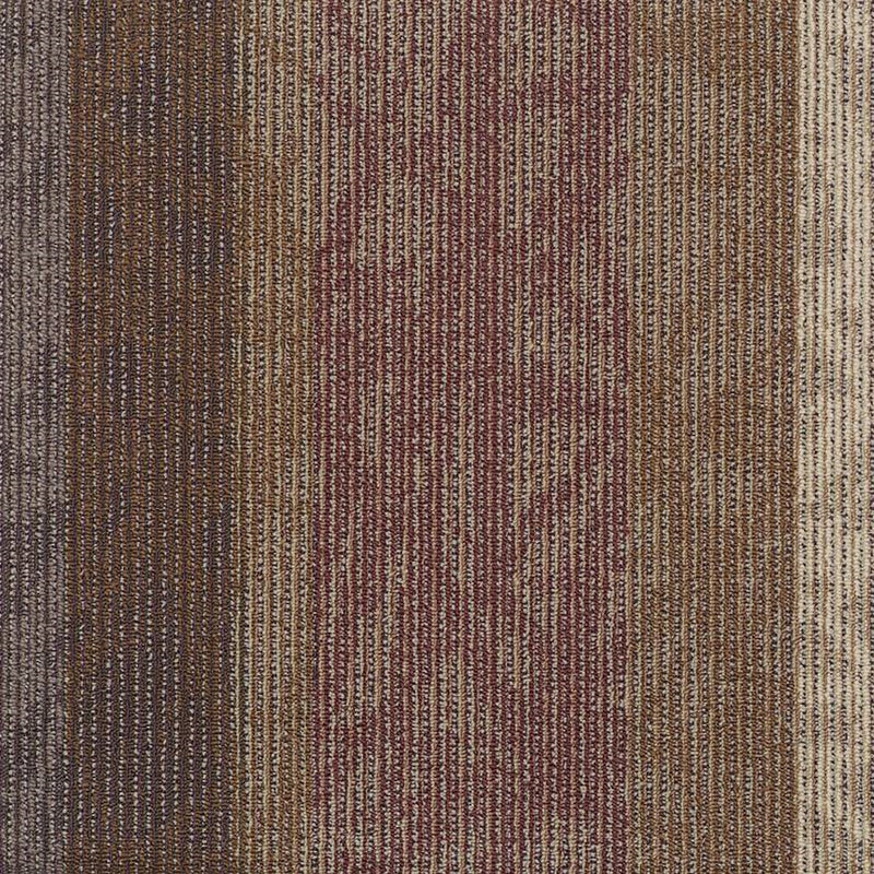 Shaw Carpet Tile Static Echo
