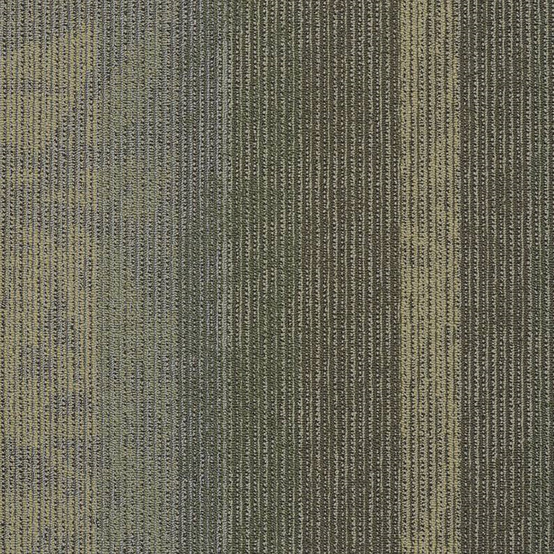 Shaw Carpet Tile Static Signal