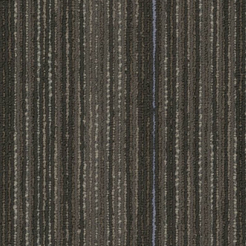 Shaw Carpet Tile Stellar Cutting Edge