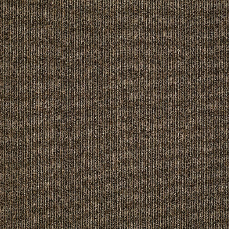Shaw Carpet Tile Step On It Early Bird