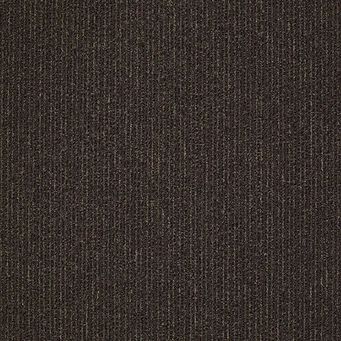 Shaw Carpet Tile Step On It Just In Time Swatch