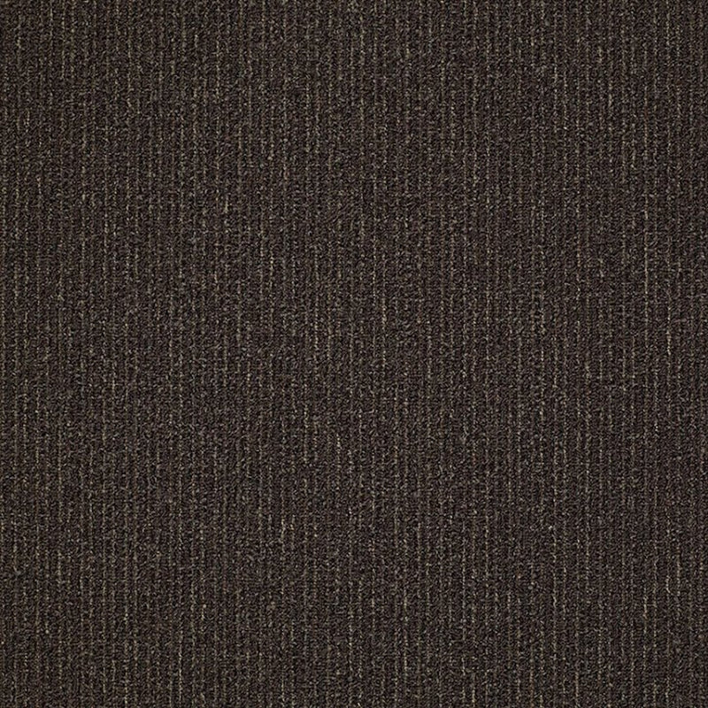 Shaw Carpet Tile Step On It Just In Time