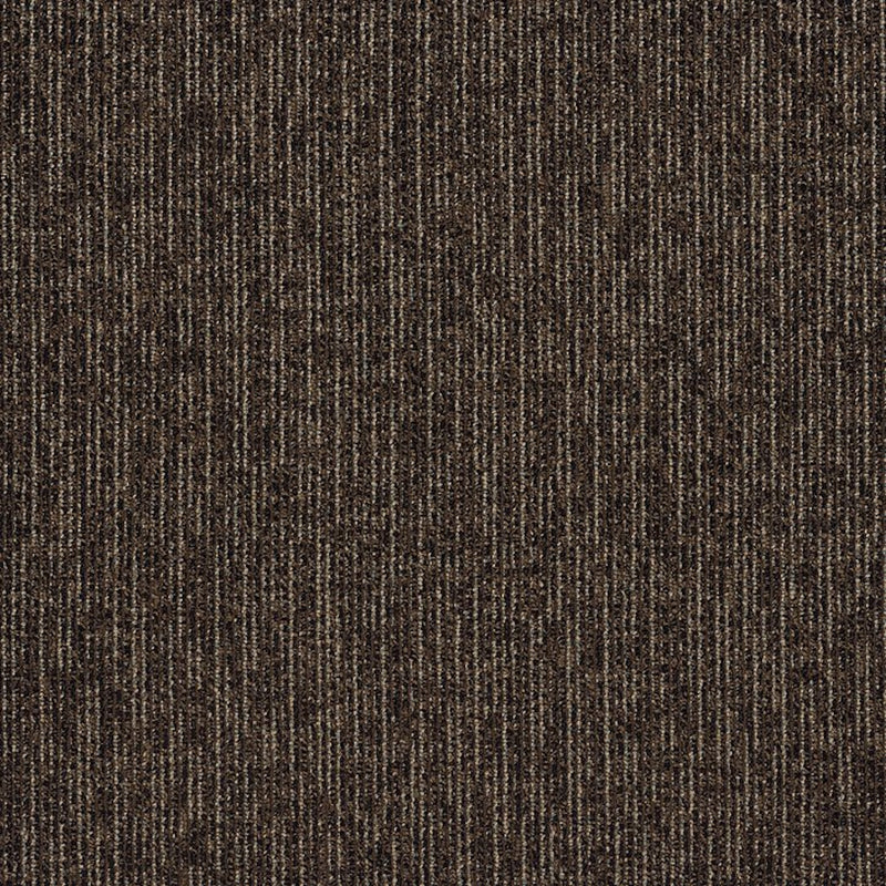 Shaw Carpet Tile Step Right In Stride