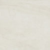 Daltile Wanderwise Rectangle 12x24 Swan Swatch