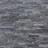 Dimensional Ledgestone Taurus Ledgestone Swatch