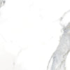 Tile Collection Classic 12x24 Tile Calacatta Matte Swatch