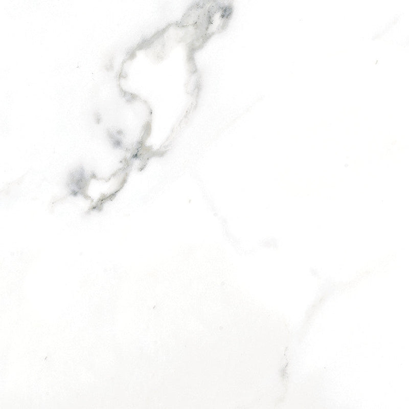 Tile Collection Classic 18x18 Tile Calacatta Matte